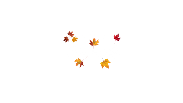 Festive Threads